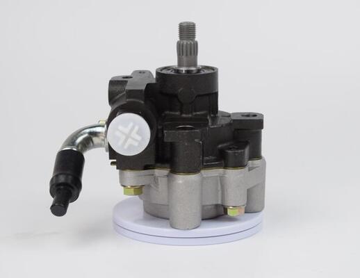 Pompa di sterzo di potenza OEM ad alte prestazioni di dimensioni standard Pompa di sterzo per telaio auto nuova di zecca